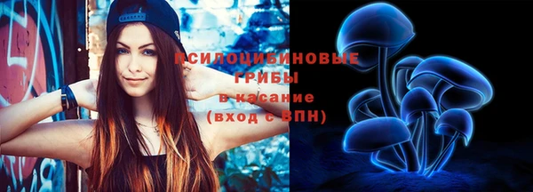 альфа пвп Заволжск