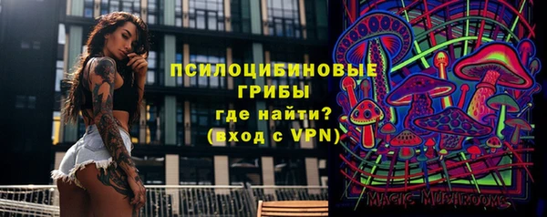 альфа пвп Заволжск