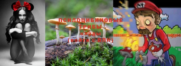 бутират Заводоуковск
