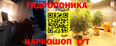 шишки Волгодонск