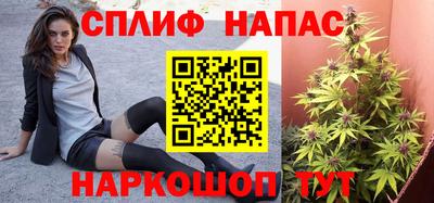 шишки Волгодонск